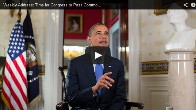 President’s Weekly Address is on Immigration Reform