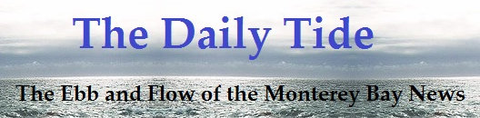 Welcome to The Daily Tide